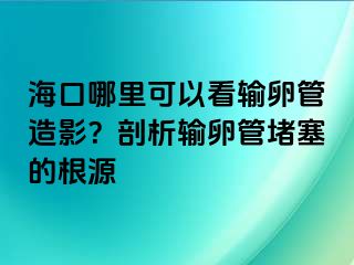 ?？谀睦锟梢钥摧斅压茉煊埃科饰鲚斅压芏氯母?>
                                                </div>
                                            </a>
                                        </div>
                                        <div   id=